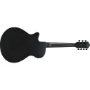 Ibanez AEG721-BOT Ak. gitar m/mik 7-str. AEG
