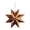 Star Trading Metallstjerne 1598972-01-0 1055493-02-0