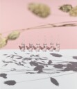 Académie Sea Collagen ampuller