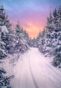 Christmas feeling Plakat Plakat / 30x40cm
