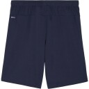 Puma teamGOAL Shorts, fotballshorts, herre Navy-White