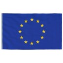 vidaXL Europeisk flagg og stang 5,55 m aluminium