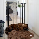 DogSpace Bonnie Ekstra Høy Hundegrind Metall 73,5-79,6x104,5 cm Svart