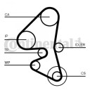 Registerreim sett CONTITECH CT1162K5
