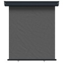vidaXL Balkong Side Markise 117 x 250 cm 100% polyester jern stål