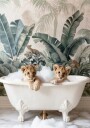 Lion Cubs Bubble Bath Plakat / 21x30