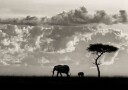 Silhouettes of Mara Plakat / 30x40cm