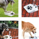 Vannspreder Til Hageslange La Hunden Styre Vannet