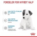 Royal Canin Babydog Milk Startmelk 2 kg - Ferskmat for Valper