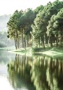 Green Summer Lake Plakat Plakat / 50x70cm
