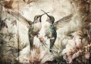 Romantic Hummingbird Embrace Plakat / 50x70