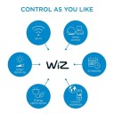 WiZ Lyskilde WA 6,7W ST64 Gyllen E27 WiFi - 60420