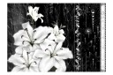 Fototapet Crying Lilies 350x245 - Artgeist sp. z o. o.