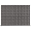 Vidaxl Vektdyne grå 138x200 cm 6 kg stoff