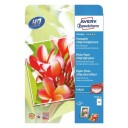 Avery Photopaper 250G. Premium glanset hvit A4 modell 2556-20