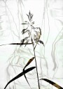 Reed Poster Plakat / 50x70cm