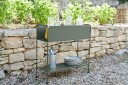 Picolino Plantekasse Rosemary