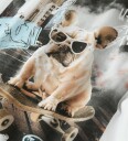 Name It T skjorte   NkmVoto   Chateau Gray/SK8   Name It   9 10 år 134 140   T skjorte   Beige