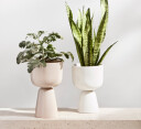 iittala Nappula krukke h23cm Ø15.5 cm Beige
