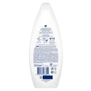 Dove Shower Gel Fruity Nourish 250 ml