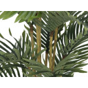 Europalms Kentia Palm Tree, 140cm
