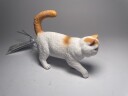 Collecta Shorthaired Cat