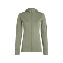 Icebreaker Women"s Merino 260 Quantum Iv Longsleeve Zip Hoodie M