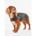 Barbour, unisex, Sport, Grønn, L,