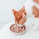 District70 Bamboo Cat Slow Feeder Ø 13.5Cm Merengue (Wa6962)