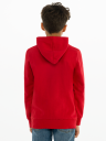 Levis Batwing Screenprint Hoodie Levis Red/ White (116 / 6 år)