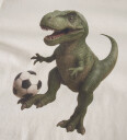 Name It Genser   NmmVoto   Antique White/Dino Fotball   Name It   4 år (104)   Genser Beige Hvit
