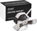 RIDEX 247E0381 Motorfeste