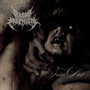 Vulgar Mephitis  From Dust  CD