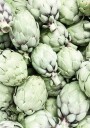 Artichokes Plakat Plakat / 30x40cm