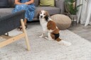 Trixie Tispetruser Sort Xs
