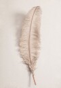 Pictufy Studio Iii Feather No.2 Plakat Plakat / 30x40cm