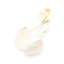 Cult Gaia Dame Vesker Gul ONE SIZE,