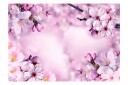 Fototapet Say Hello To Spring 250x175 - Artgeist sp. z o. o.