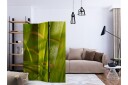 Romdeler Bamboo - Nature Zen - Artgeist sp. z o. o.