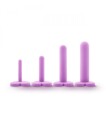 Blush: Wellness 4-Piece Dilator Kit