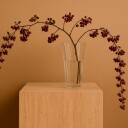 Cooee design Liliané vase 28 cm, klar