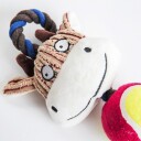 Ku Draleke Med Tennisball