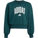 Adidas Jg Clgt Ft Swt Aurivy/White 140 Sweatshirts