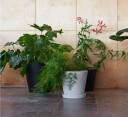 Hay Flowerpot potteskjuler med fat S grønn
