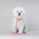 Tyylivoitto Classy Hundehalsbånd Lysrosa (Xs)