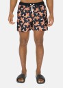Seaside Pacific Beachshorts