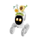 Loona Premium Sunflower Strikket Antrekk for Kjæledyr