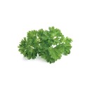 Click and Grow Refill Persille, 3-pakning
