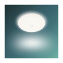 Philips Mauve taklampe 16W