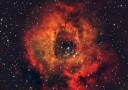 Cosmic Rose Nebula Plakat / 40x50